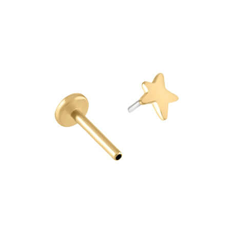 Trendolla Gold Star Tragus Sleeper Earrings